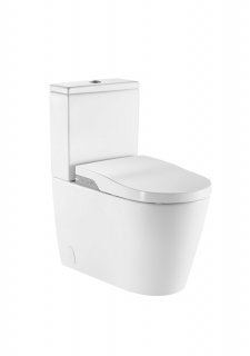WC lavant au sol In Wash Inspira sans bride