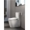 WC lavant au sol In Wash Inspira sans bride Wc lavant in wash inspira roca ambiance